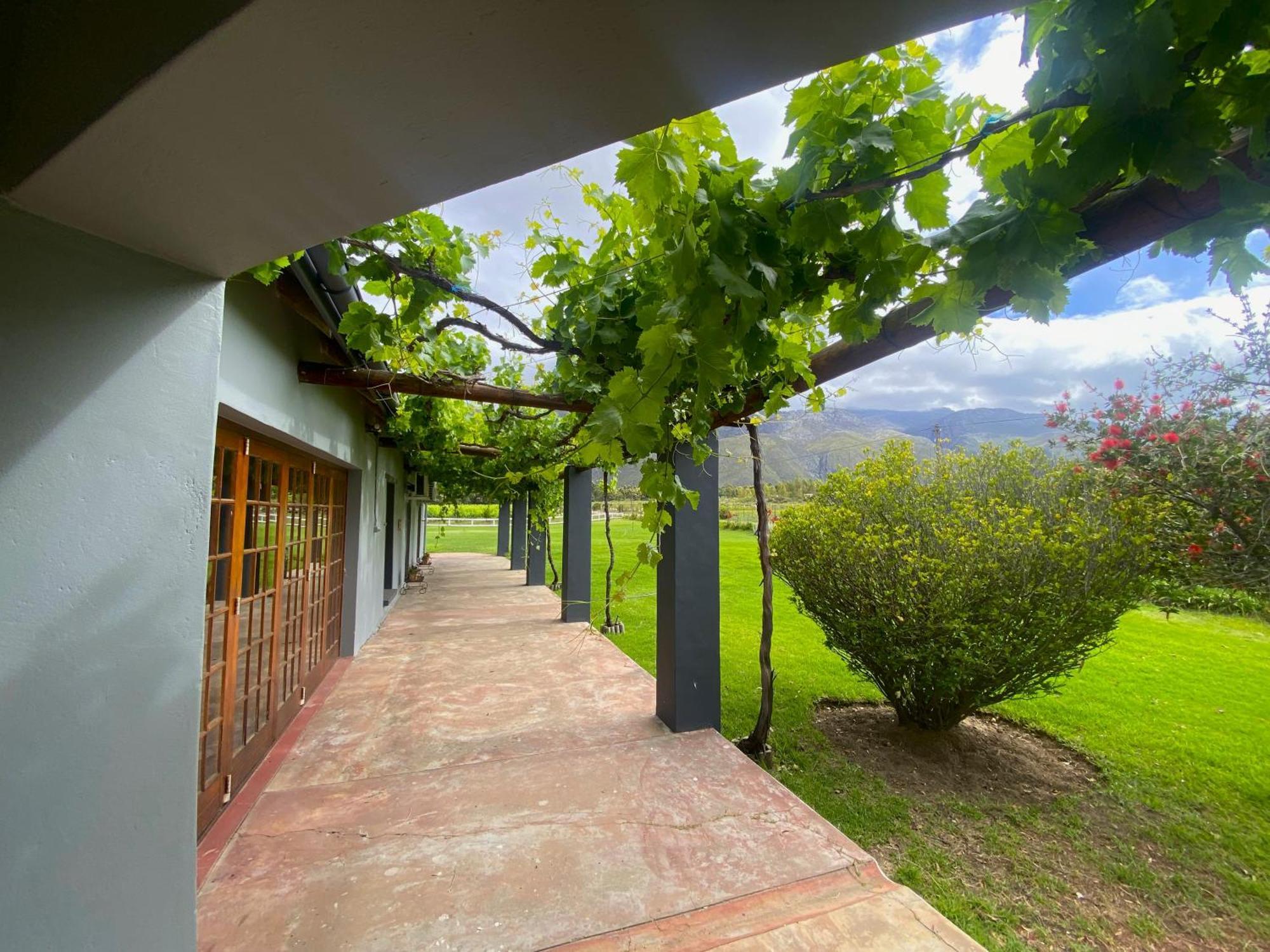 Oaksrest Vineyards Guest Farm Hotel Ladismith Ngoại thất bức ảnh
